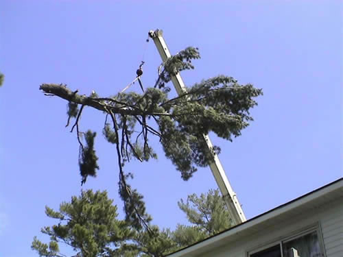 cleanup after wind storm damage in Milford, ME